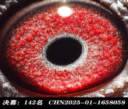 ���142-
