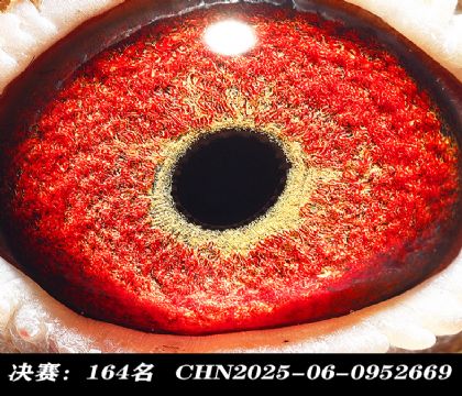 ���164-