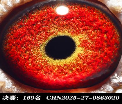 ���169-