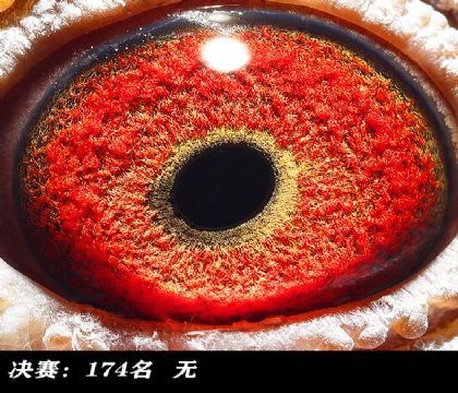 ���174-