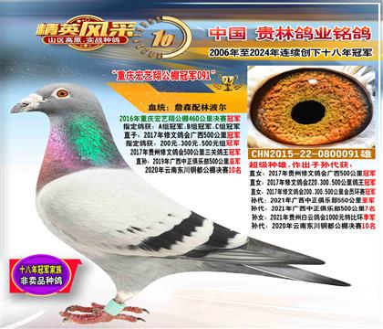 ������������蹫��ھ�
