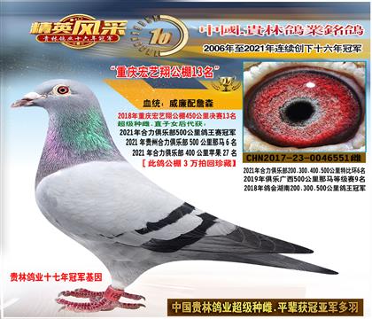 ĸ����������蹫��13��