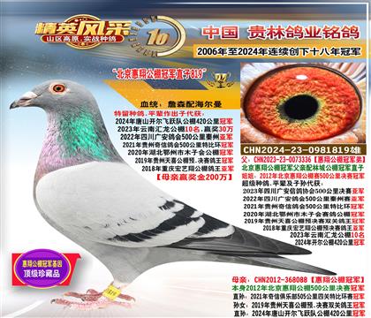 �����������蹫��ھ�ֱ��