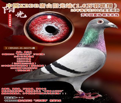 �й�KBDB-�¶����߶��500���ﾫѡ��