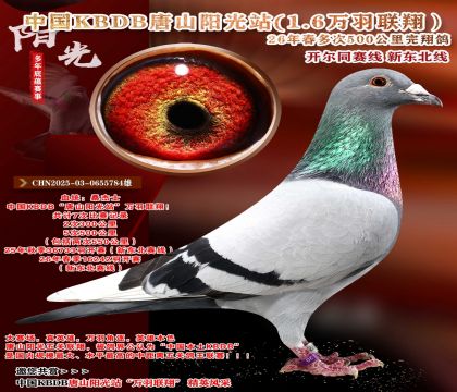 �й�KBDB-�¶����߶��500���ﾫѡ��