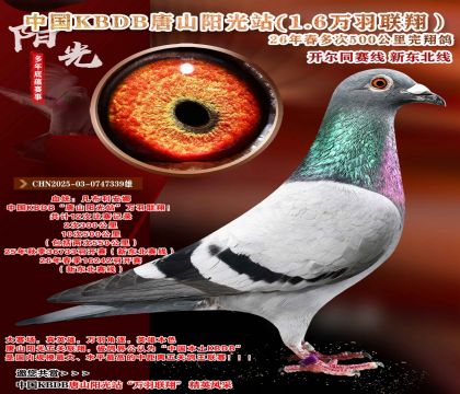 �й�KBDB-�¶����߶��500���ﾫѡ��
