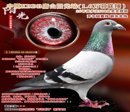 �й�KBDB-�¶����߶��500���ﾫѡ��