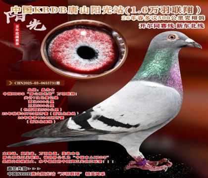 �й�KBDB-�¶����߶��500���ﾫѡ��