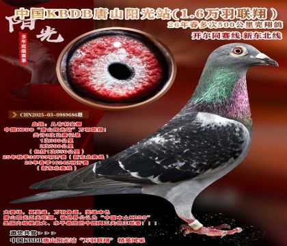 �й�KBDB-�¶����߶��500���ﾫѡ��