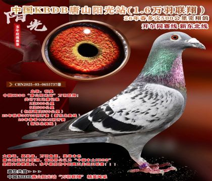 �й�KBDB-�¶����߶��500���ﾫѡ��
