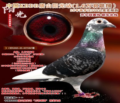 �й�KBDB-�¶����߶��500���ﾫѡ��