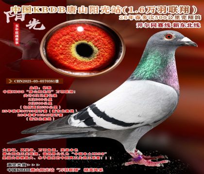 �й�KBDB-�¶����߶��500���ﾫѡ��