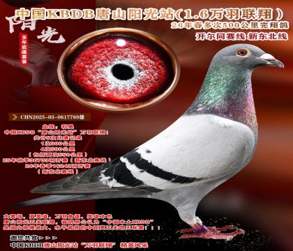 �й�KBDB-�¶����߶��500���ﾫѡ��