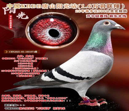 �й�KBDB-�¶����߶��500���ﾫѡ��