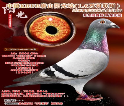 �й�KBDB-�¶����߶��500���ﾫѡ��