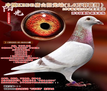 �й�KBDB-�¶����߶��500���ﾫѡ��