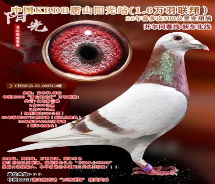 �й�KBDB-�¶����߶��500���ﾫѡ��
