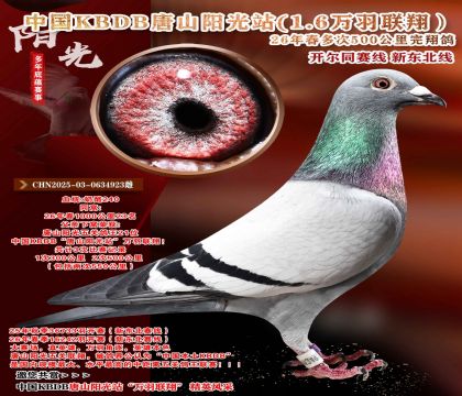 �й�KBDB-�¶����߶��500���ﾫѡ��
