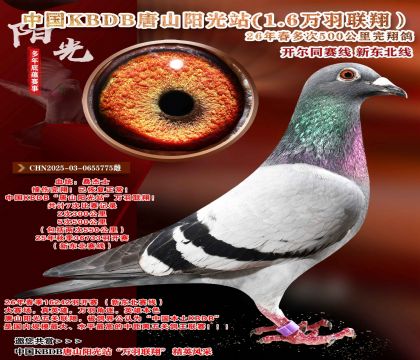 �й�KBDB-�¶����߶��500���ﾫѡ��