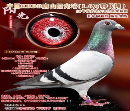 �й�KBDB-�¶����߶��500���ﾫѡ��