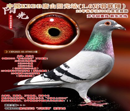 �й�KBDB-�¶����߶��500���ﾫѡ��