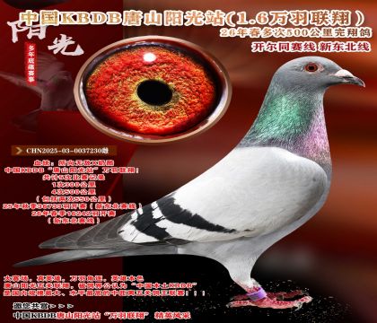 �й�KBDB-�¶����߶��500���ﾫѡ��