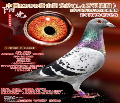 �й�KBDB-�¶����߶��500���ﾫѡ��