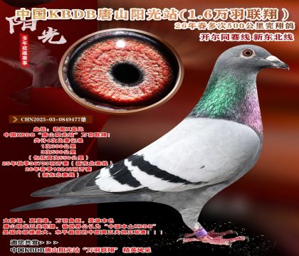 �й�KBDB-�¶����߶��500���ﾫѡ��