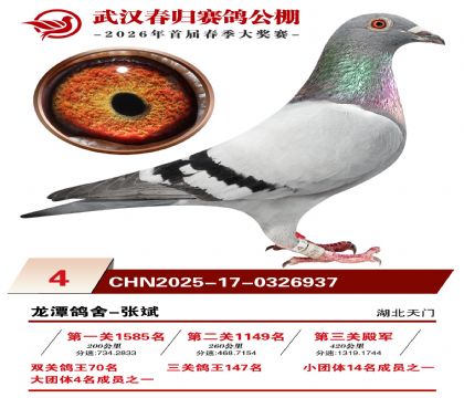 �人�������4��