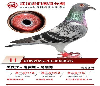 �人�������11��