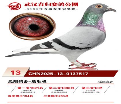 �人�������13��