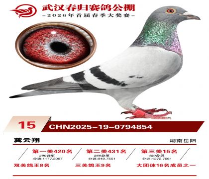 �人�������15��