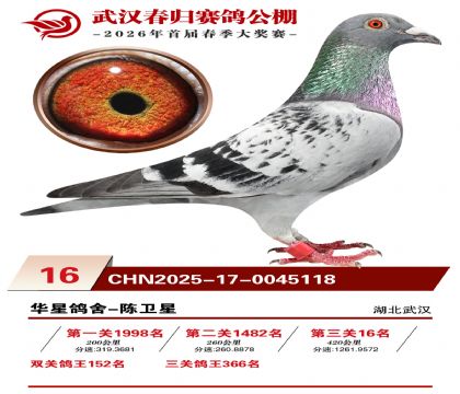�人�������16��