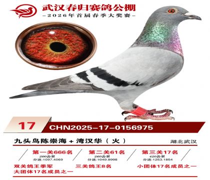 �人�������17��