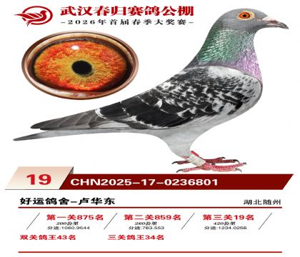 �人�������19��
