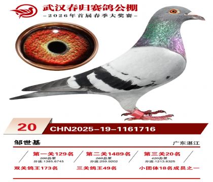 �人�������20��