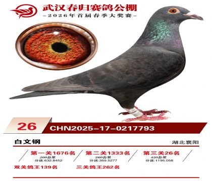 �人�������26��