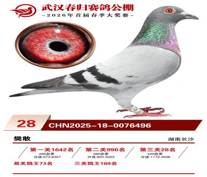 �人�������28��