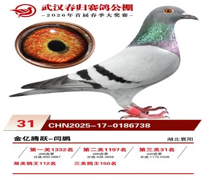 �人�������31��