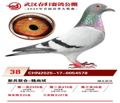 �人�������38��