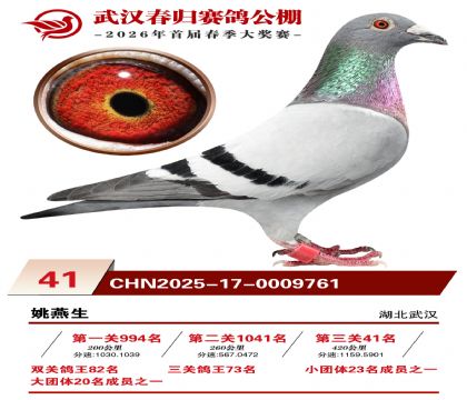 �人�������41��