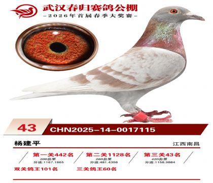 �人�������43��