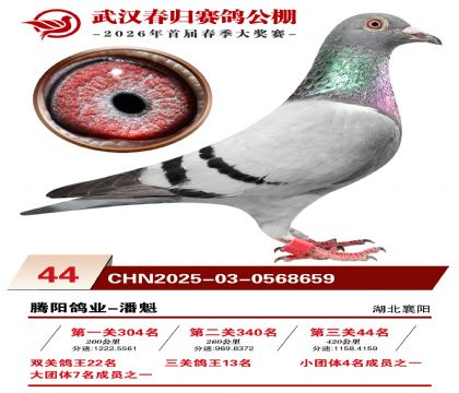 �人�������44��
