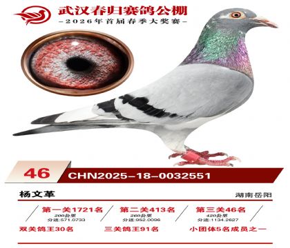 �人�������46��
