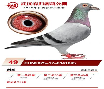 �人�������49��