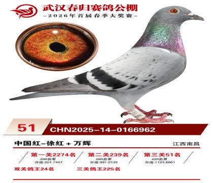 �人�������51��