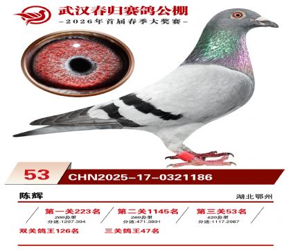 �人�������53��