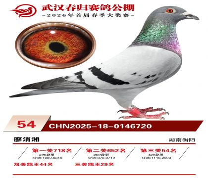 �人�������54��