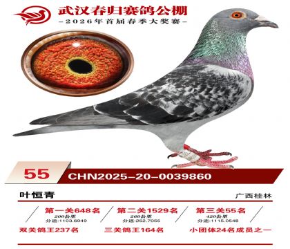 �人�������55��