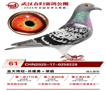 �人�������61��